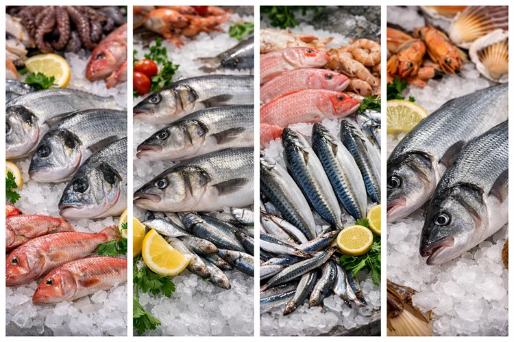 Selimiye Balık Satışı